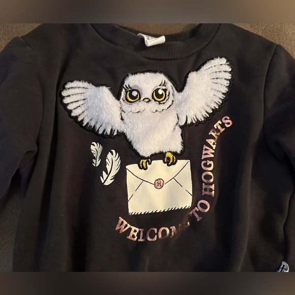 H&M Harry Potter sweater. Size:2T - Picture 2 of 4